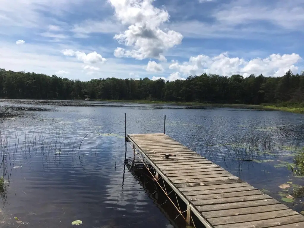 148 + 149 Chippewa Trail, Rogers City, MI 49779 - #1