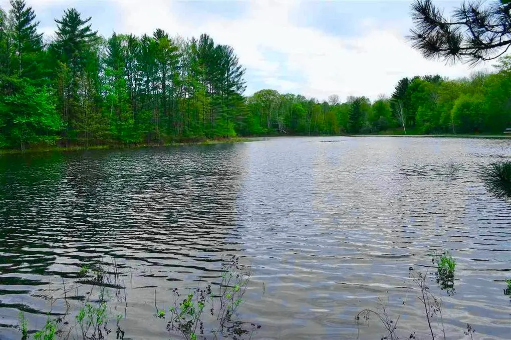 4571 Hiawatha Trail, Gaylord, MI 49735 - #1