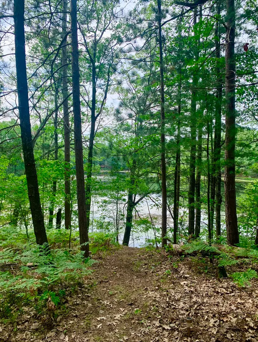 4571 Hiawatha Trail, Gaylord, MI 49735 - #3