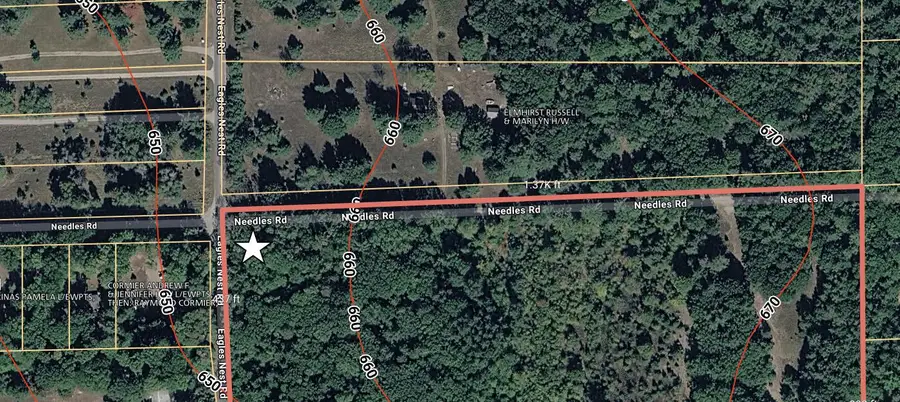 Par 1 Needles Road, Indian River, MI 49749 - #2