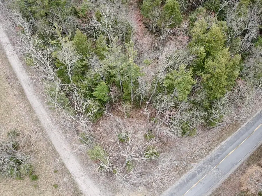 Par 1 Needles Road, Indian River, MI 49749 - #3