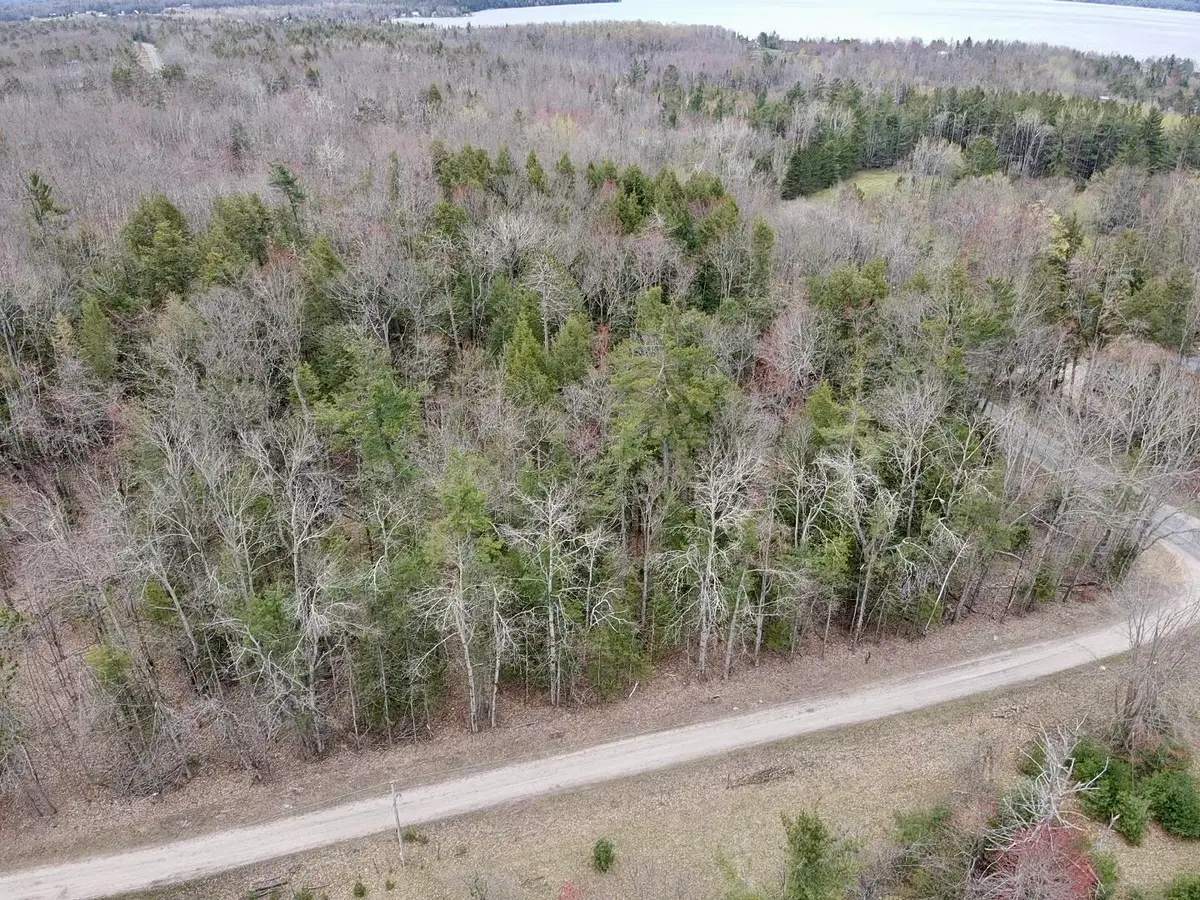 Par 2 Needles Road, Indian River, MI 49749 - #1