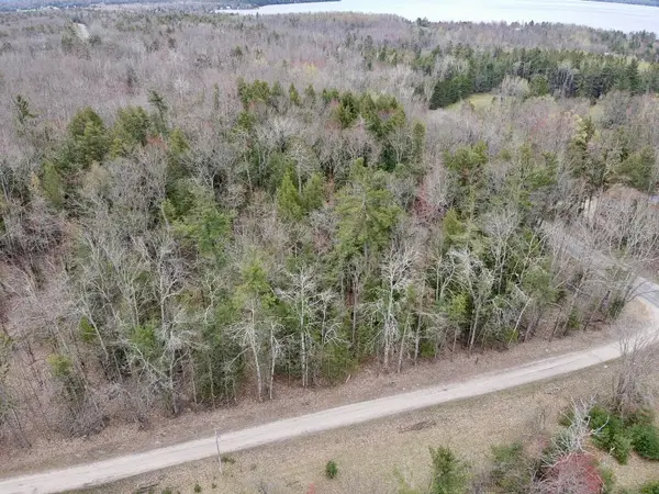 Par 2 Needles Road, Indian River, MI 49749