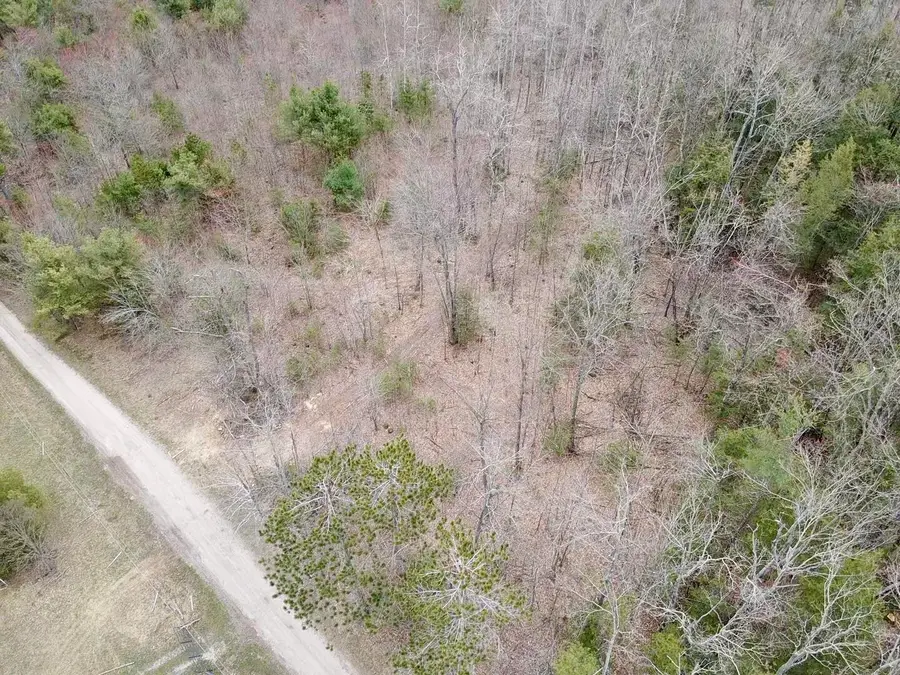 Par 2 Needles Road, Indian River, MI 49749 - #3