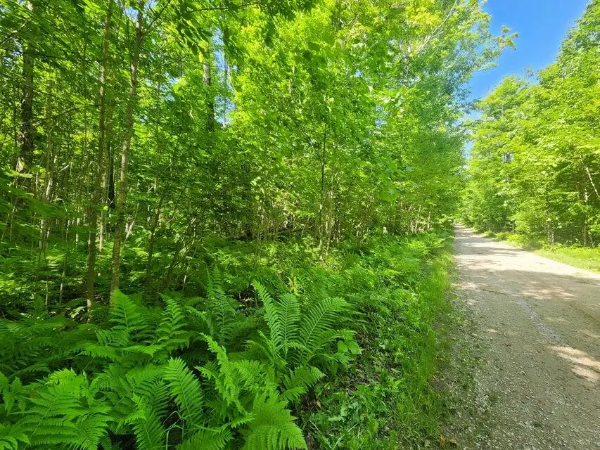 20 AC Camp 23 Rd., Gulliver, MI 49840 - #3