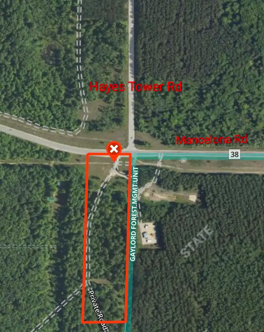 Parcel 1 Mancelona Road, Gaylord, MI 49735 - #2
