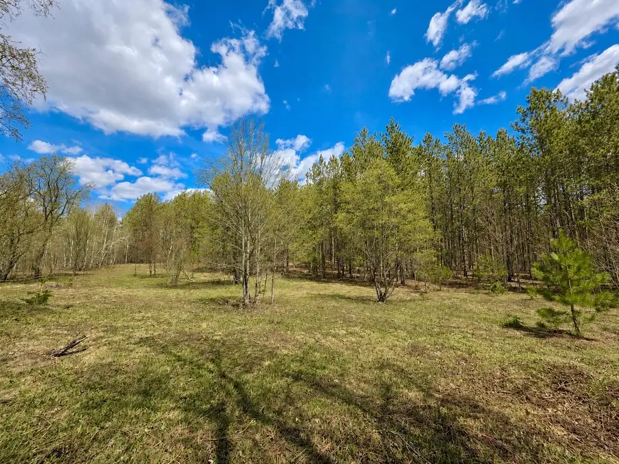 Parcel 1 Mancelona Road, Gaylord, MI 49735 - #3