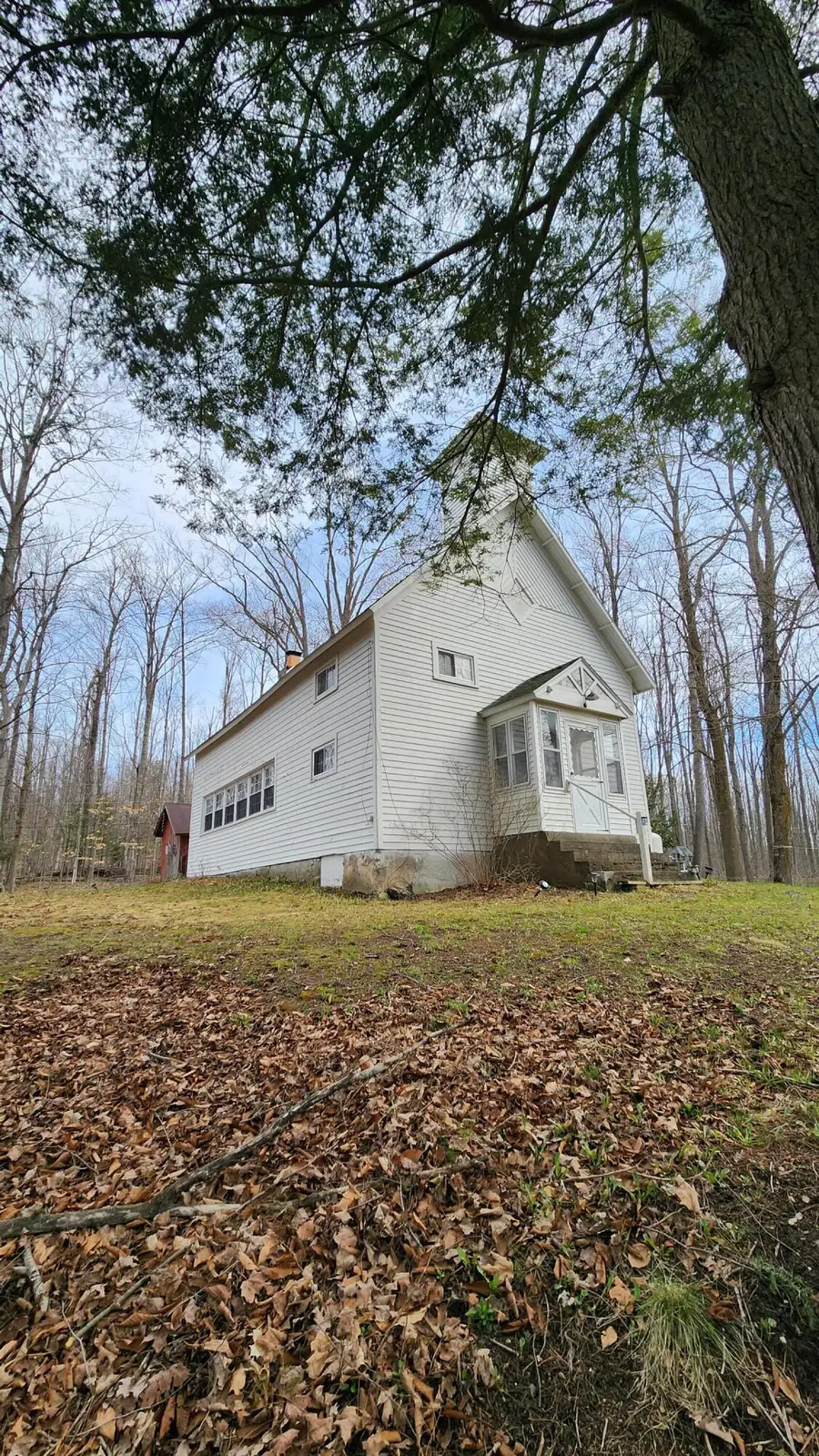3981 Resort Road, Alanson, MI 49706 - #2
