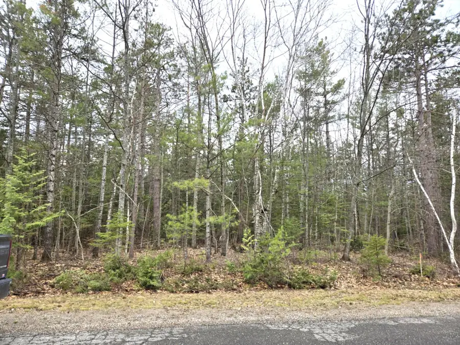 Lot 513 Balsam Circle, Presque Isle, MI 49777 - #2