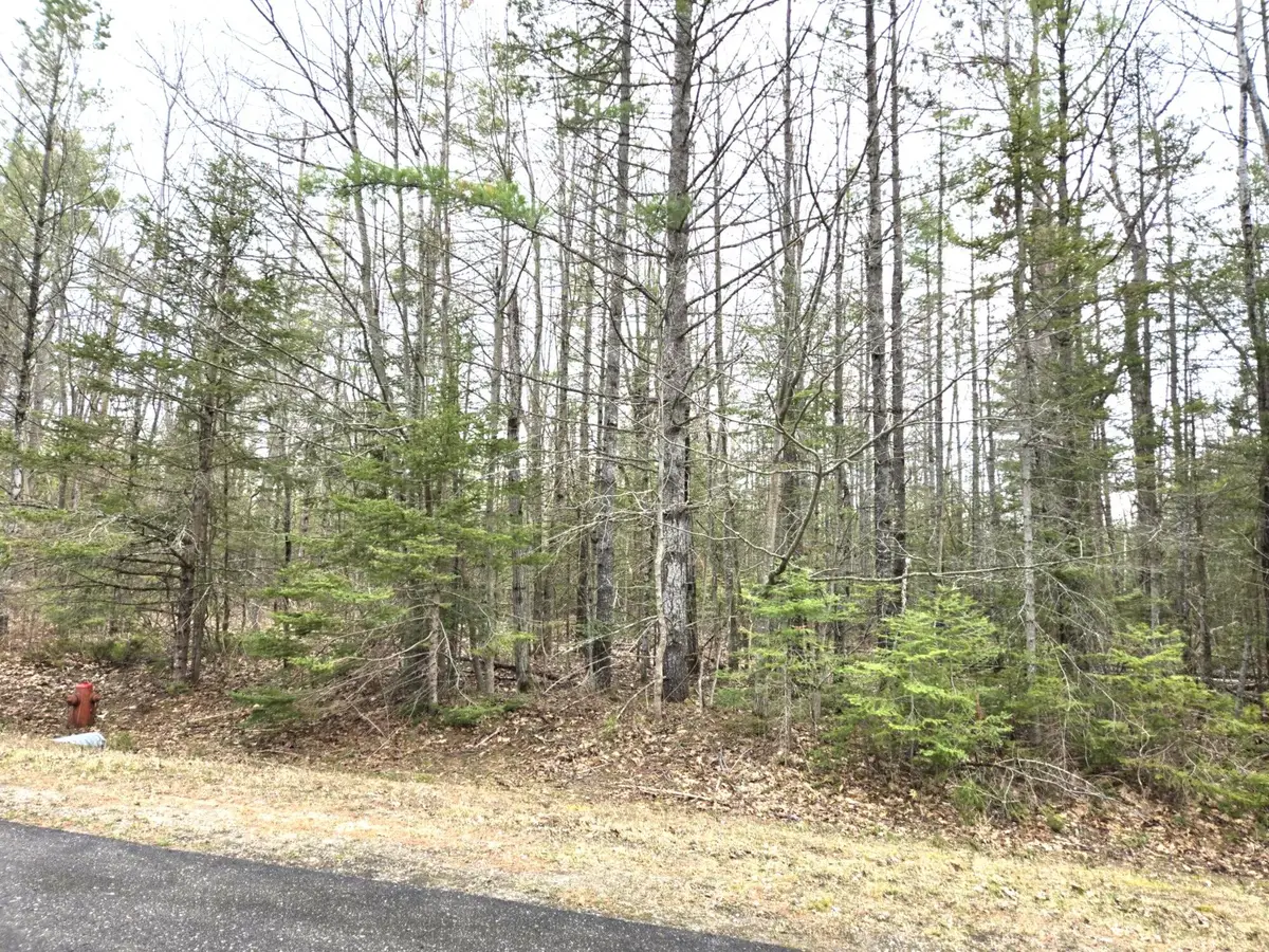 Lot 353 Northland Heights Drive, Presque Isle, MI 49777 - #1