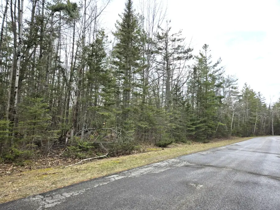 Lot 353 Northland Heights Drive, Presque Isle, MI 49777 - #2