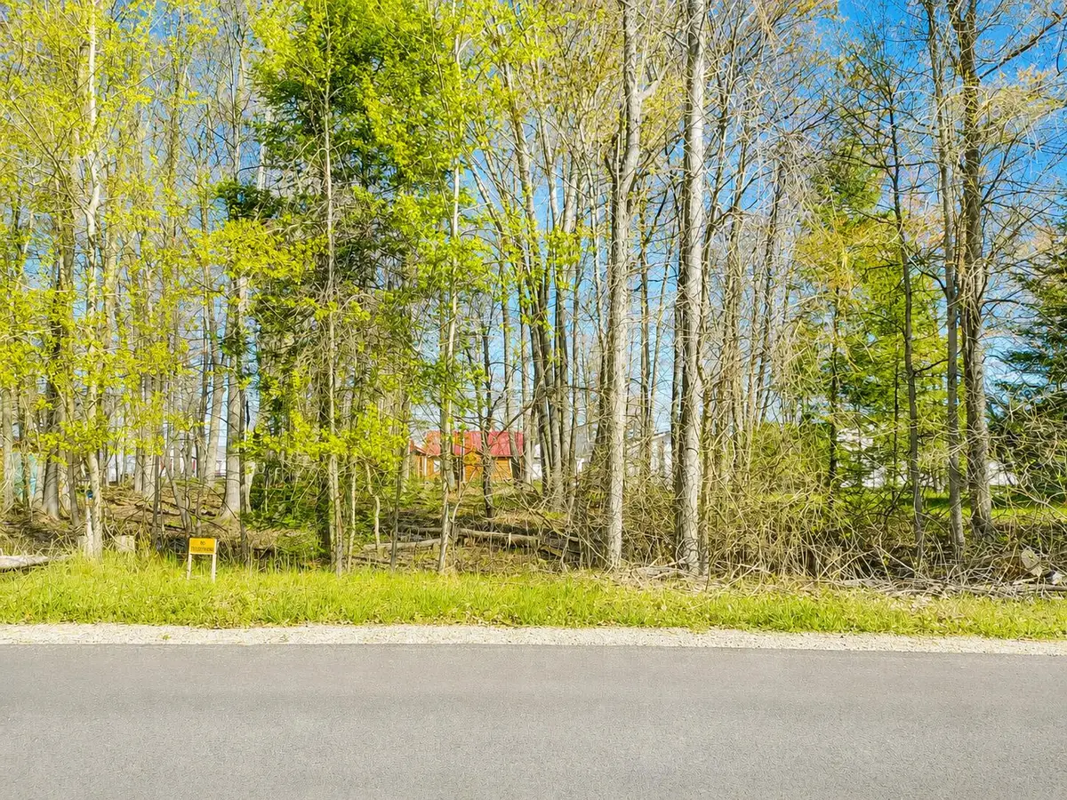 Lot 2 Chippewa Trail, Prudenville, MI 48651 - #1