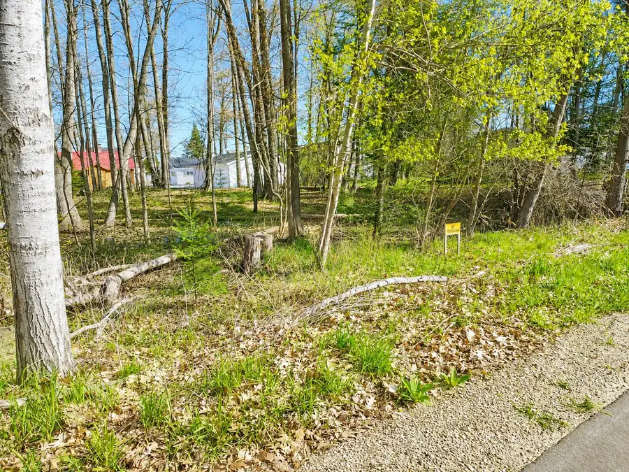Lot 2 Chippewa Trail, Prudenville, MI 48651 - #3