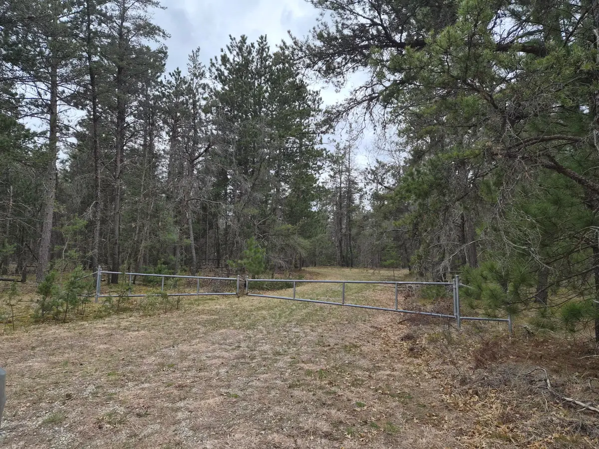 80 AC Willows Road, Roscommon, MI 48653 - #1