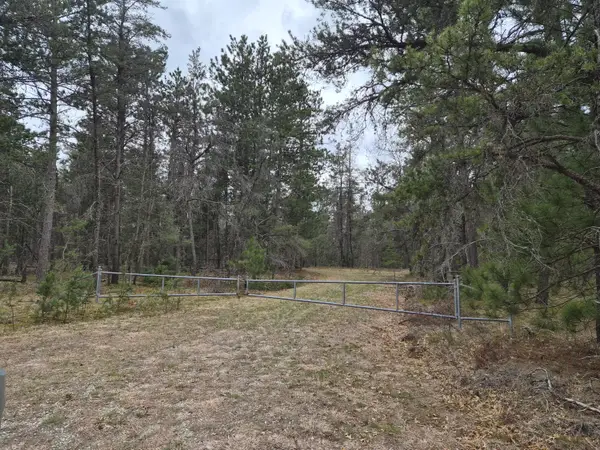 80 AC Willows Road, Roscommon, MI 48653