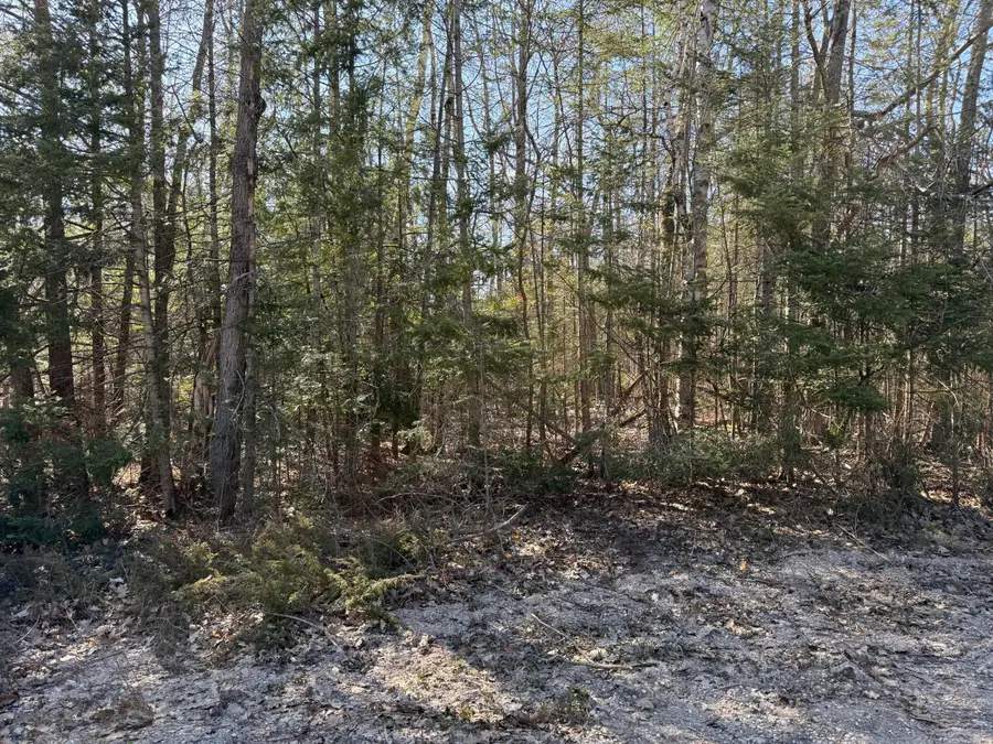 14211 Waldmar Court, Cheboygan, MI 49721 - #2