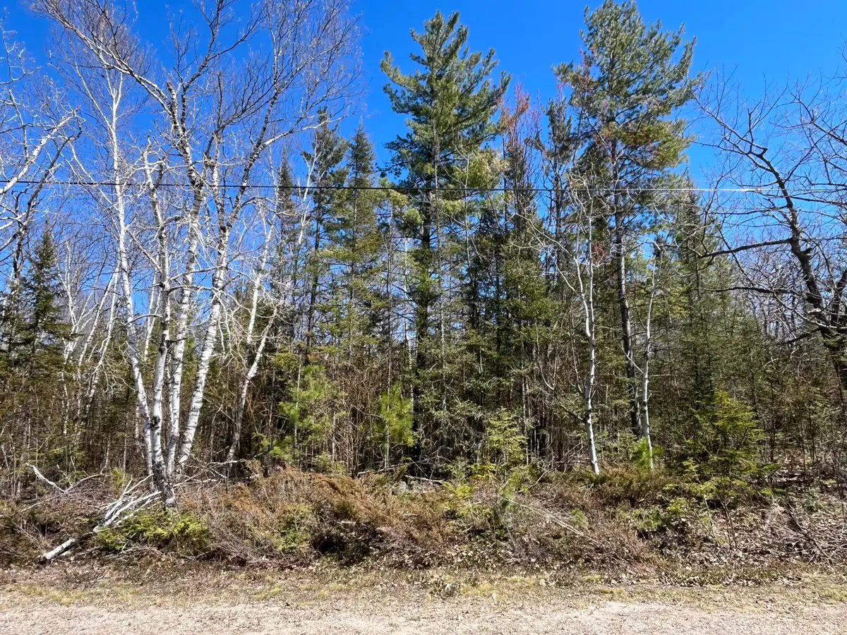 Lot 268 Pineview Road, Presque Isle, MI 49777 - #1