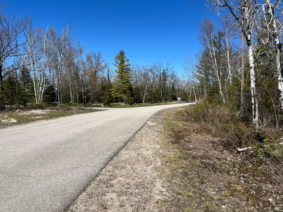 Lot 268 Pineview Road, Presque Isle, MI 49777 - #3