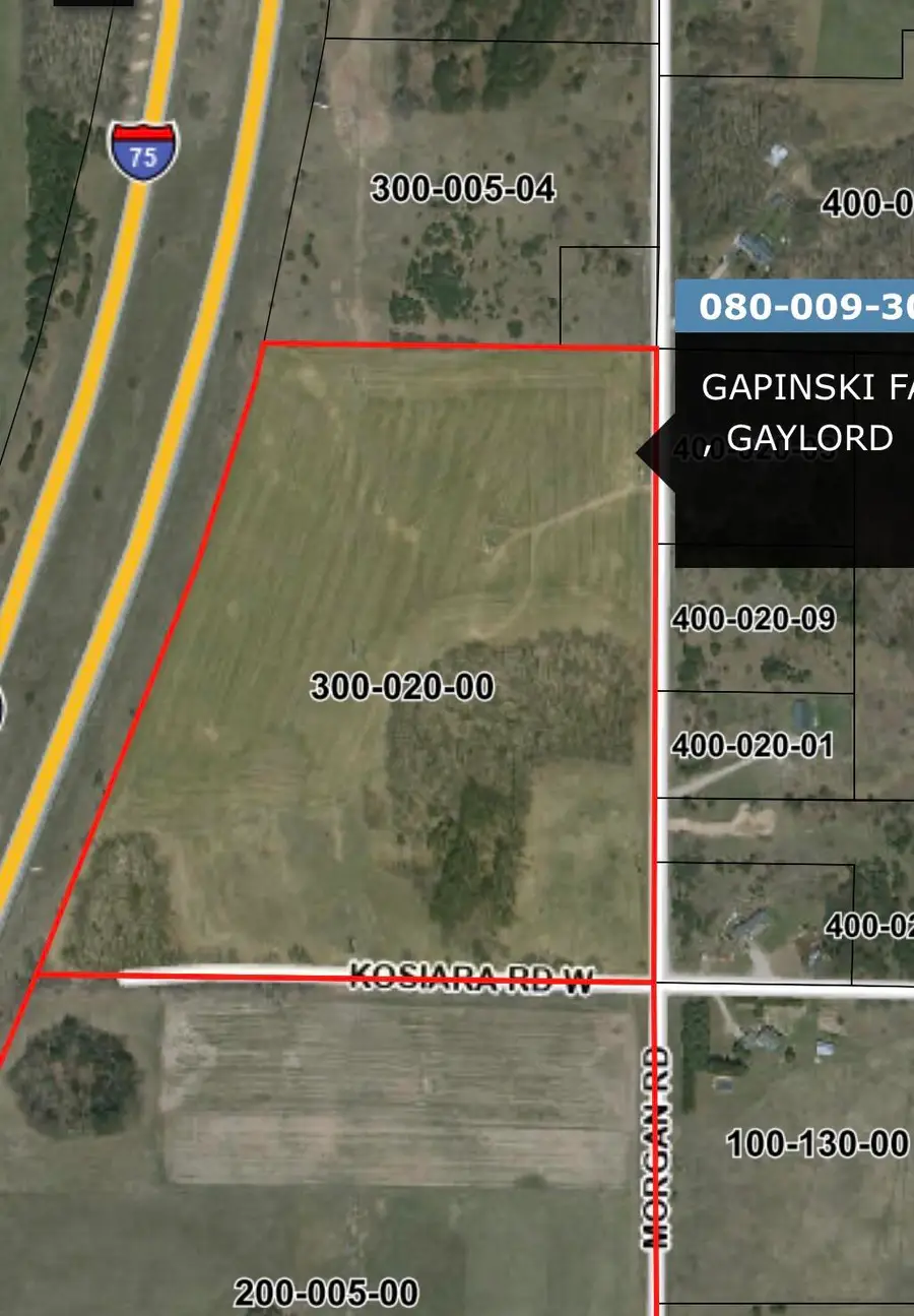 32 AC Morgan Road, Gaylord, MI 49735 - #2