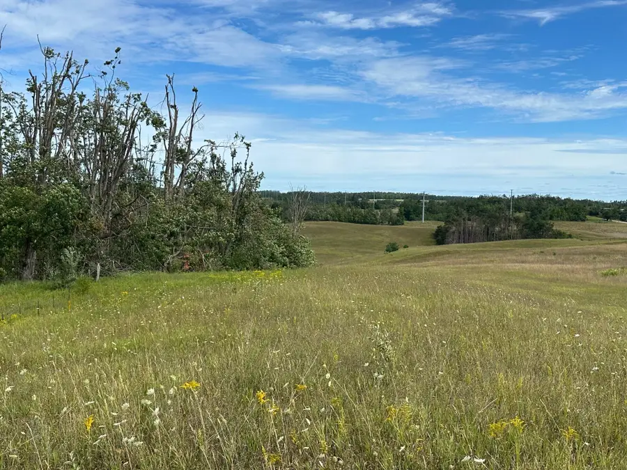 32 AC Morgan Road, Gaylord, MI 49735 - #3