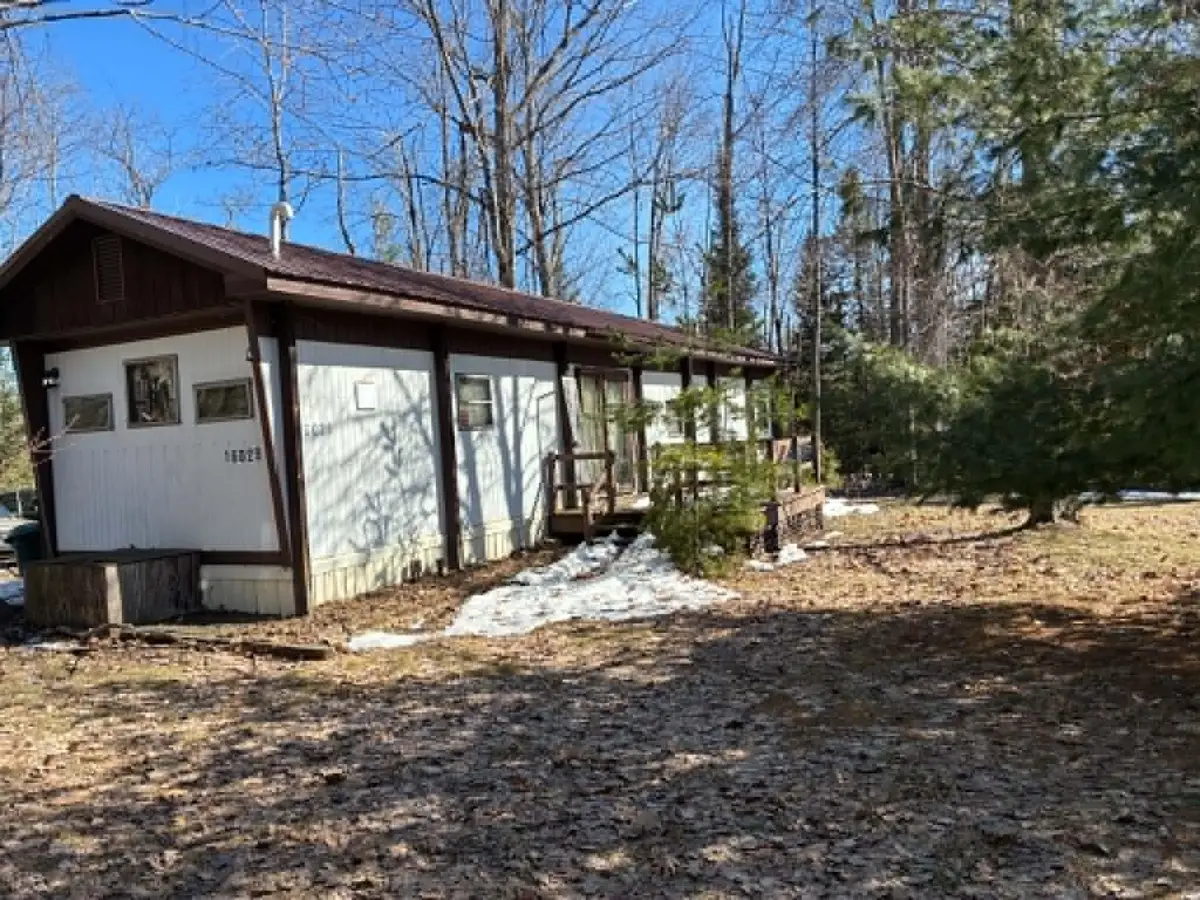 16029 Hiawatha Trail, Atlanta, MI 49709 - #1