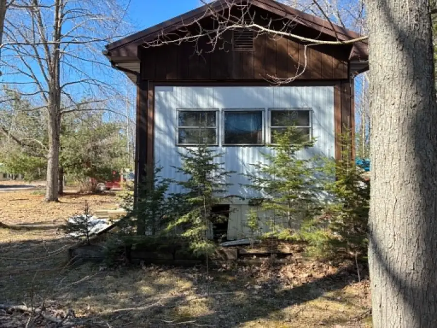 16029 Hiawatha Trail, Atlanta, MI 49709 - #2