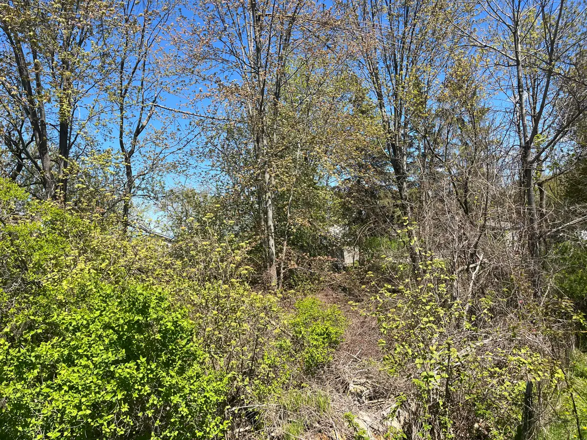 Lot 122 Carman Avenue, Houghton Lake, MI 48629 - #1