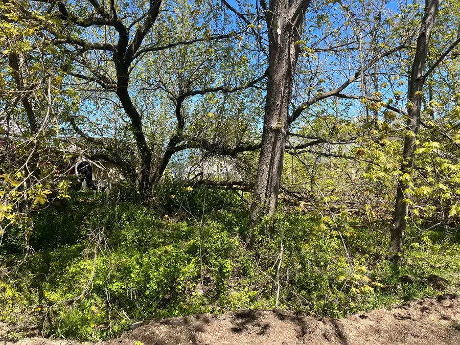 Lot 122 Carman Avenue, Houghton Lake, MI 48629 - #3