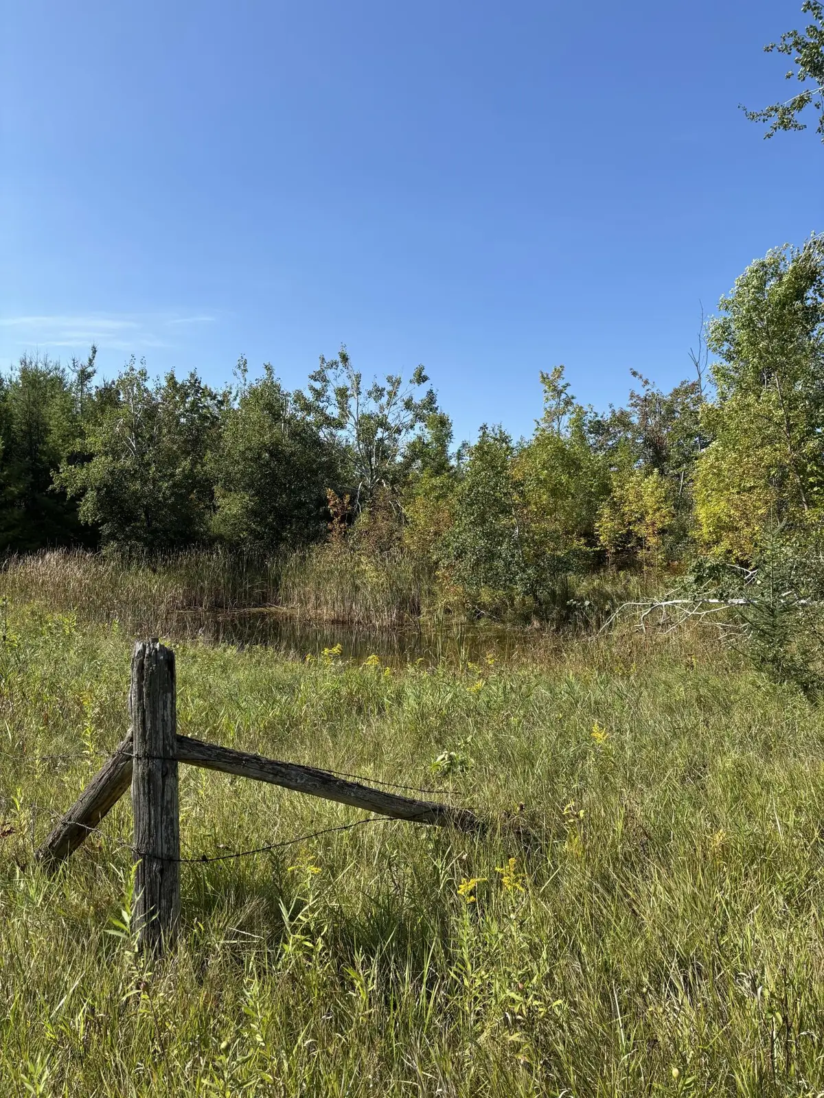 68.21 AC Salina Road, Lachine, MI 49753 - #1