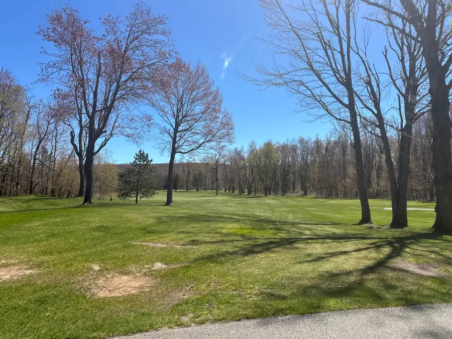 4925 Eastwind Way, Harbor Springs, MI 49740 - #3