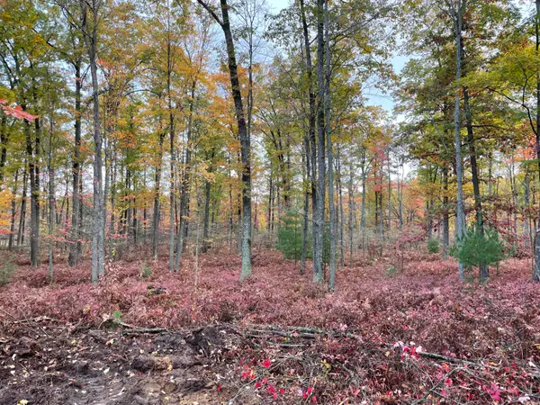 Par D N Cut Road, Roscommon, MI 48653
