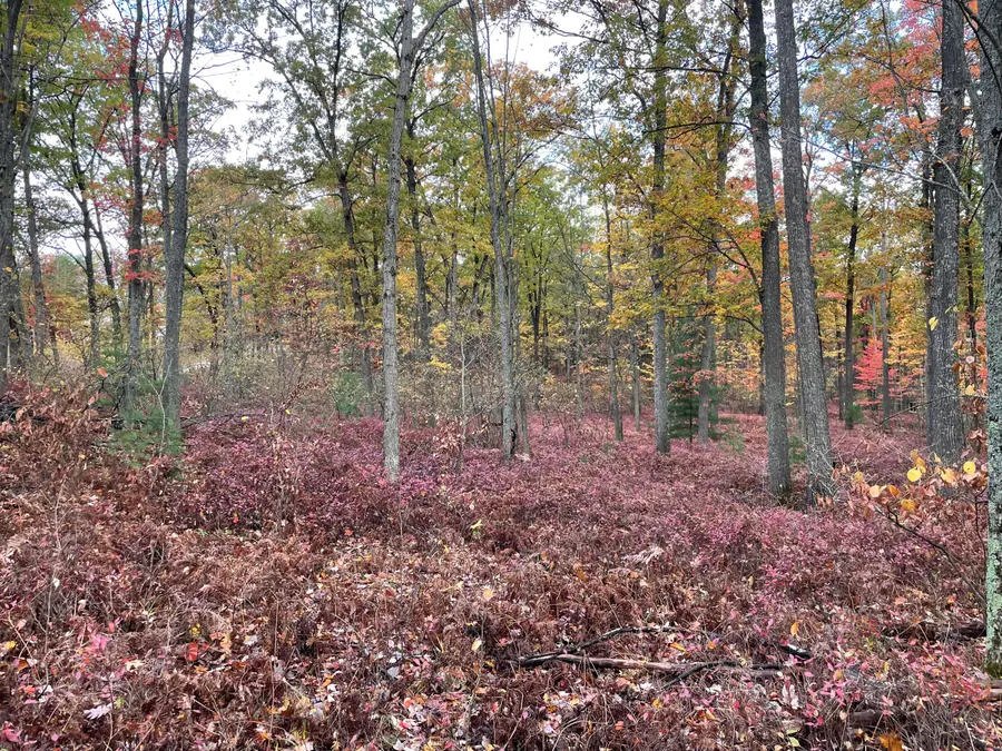 Par D N Cut Road, Roscommon, MI 48653 - #3