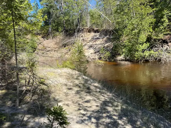 22.70 AC S River Lane, Ocqueoc, MI 49759