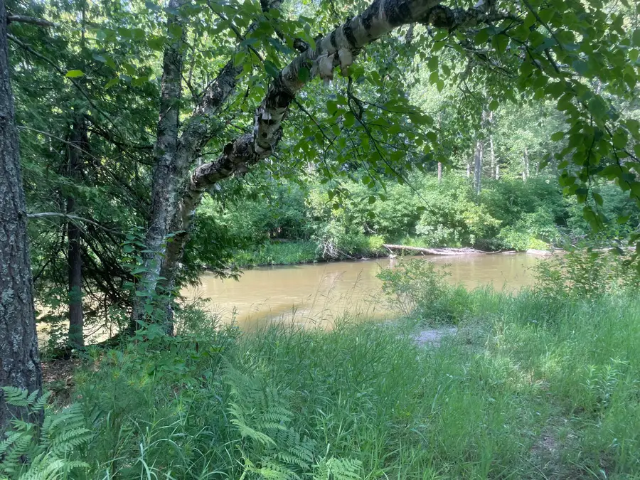 24570 W Riverside Drive, Hillman, MI 49746 - #3