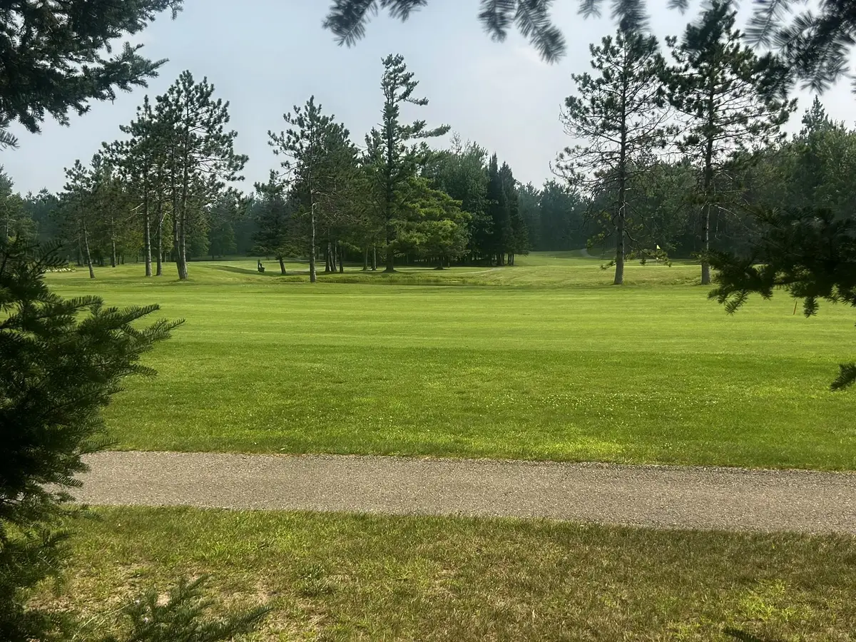20935 E Riverside Drive, Hillman, MI 49746 - #1