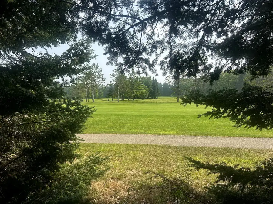 20935 E Riverside Drive, Hillman, MI 49746 - #3