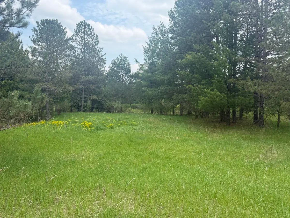 88 Linksview Way, Gladwin, MI 48624 - #1