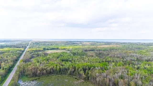 41.85 AC S Harrison Road, Houghton Lake, MI 48629 - #1