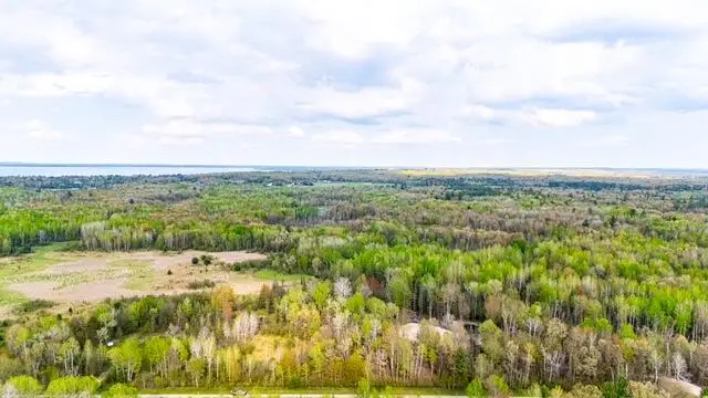 41.85 AC S Harrison Road, Houghton Lake, MI 48629 - #3