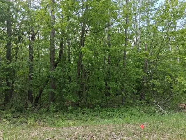 Lot 151 Snowcrest Trail, Elmira, MI 49730 - #1