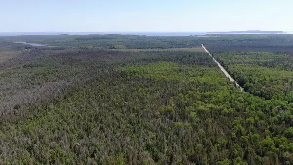 40 AC Cheeseman Road, St. Ignace, MI 49781