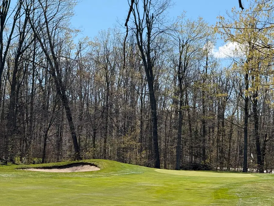 569 Woodside Lane, Gaylord, MI 49735 - #3