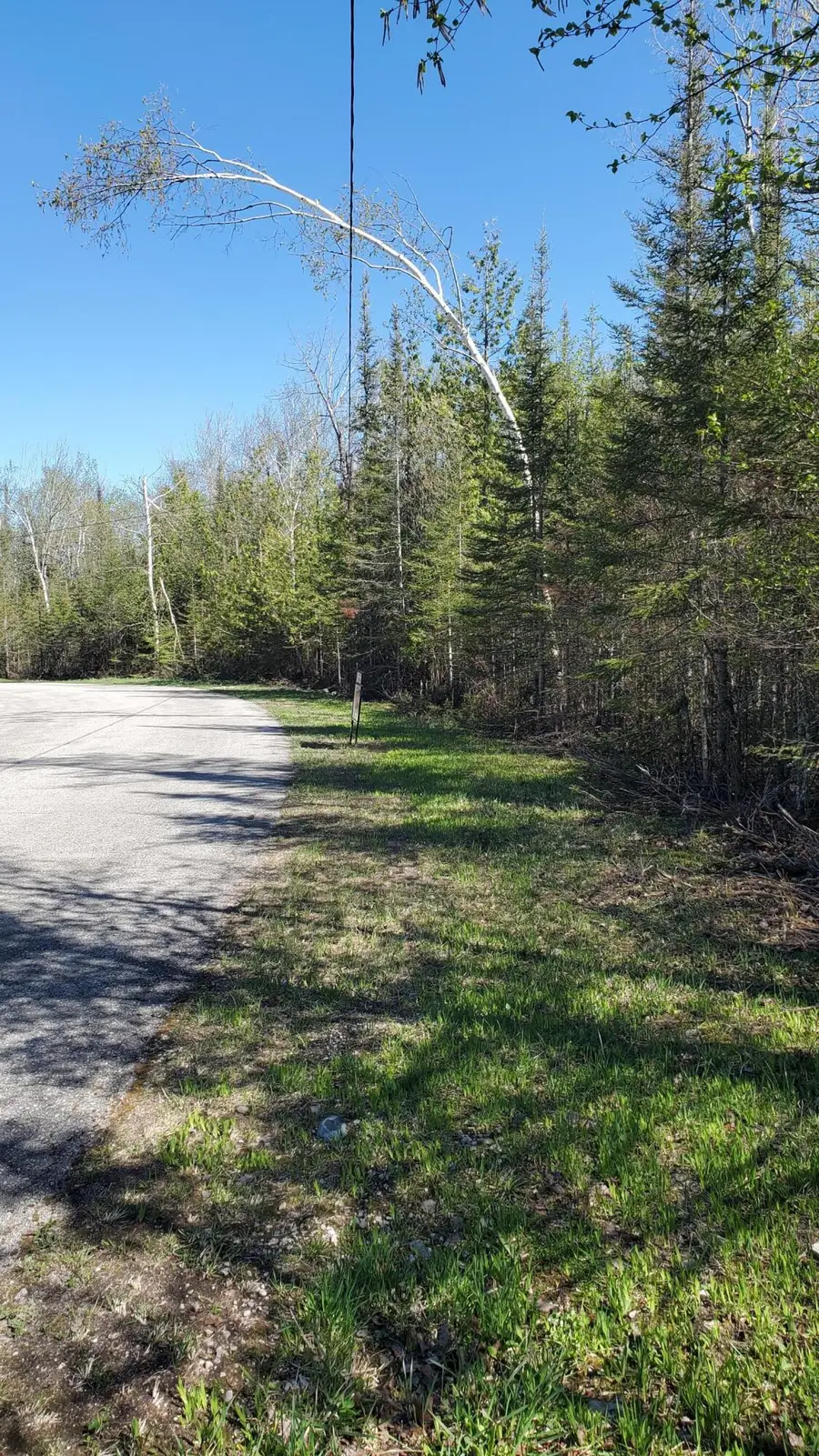 Lot 292 Bay View Drive, Presque Isle, MI 49777 - #3