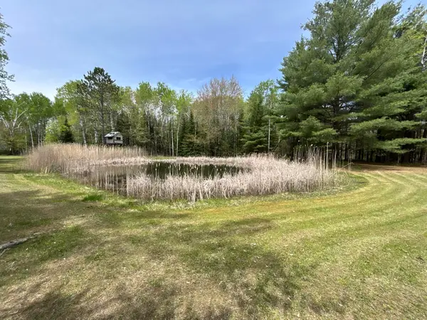 577 Wilderness Trail, St. Helen, MI 48656