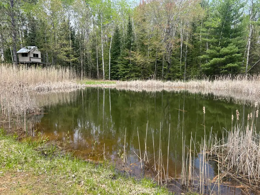 577 Wilderness Trail, Saint Helen, MI 48656 - #3