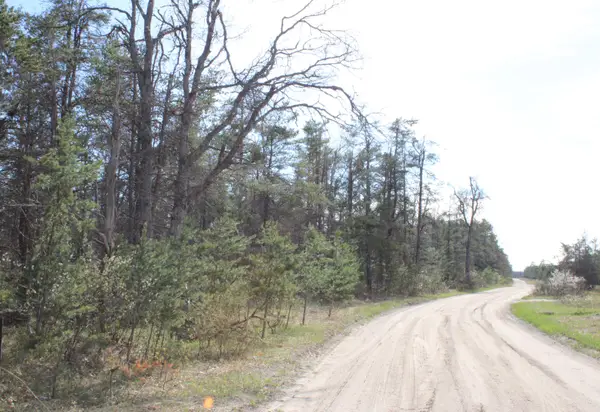 4489 Pine Road, Lewiston, MI 49756