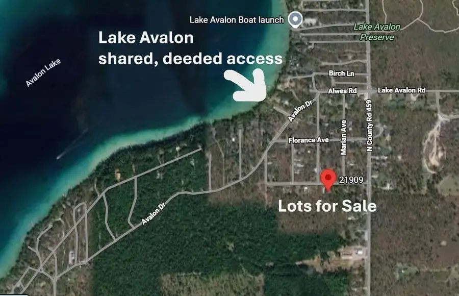 21909 Oak Avenue, Hillman, MI 49746 - #2