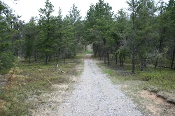 13 Acres Eagle Way, West Branch, MI 48661