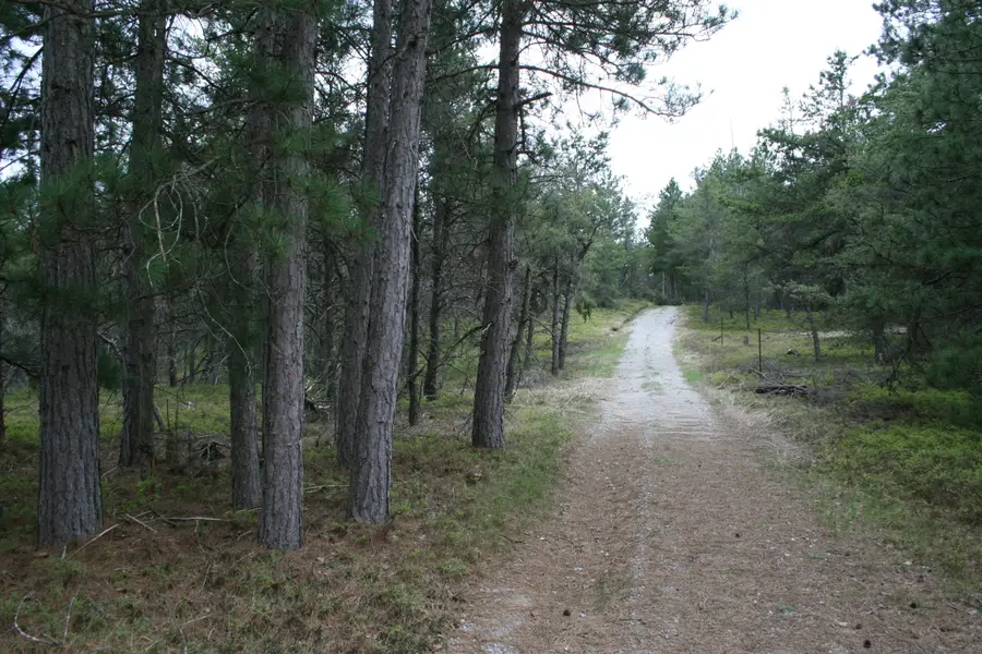13 Acres Eagle Way, West Branch, MI 48661 - #3