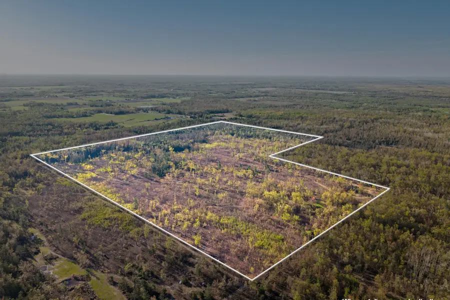 21950 County Road 628, Hillman, MI 49746 - #3